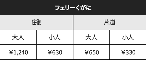 フェリーくがに運賃